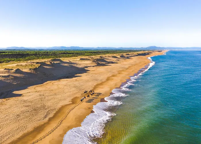 Patio Proche Hébergement de vacances Seignosse